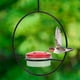 thumbnail image 2 of Comedero de colibrí para exteriores, alimentador de colibrí colgante, alimentador de agua para jardín y Patio, 2 of 6
