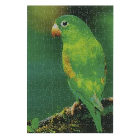 A Parrot price history on PriceWatchPro