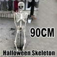 thumbnail image 5 of 2.9ft Halloween Skeleton Prop Halloween Decorations life Size Skeleton Skull Hand Anatomy Model Yard, Lawn and Home Decor, 5 of 7