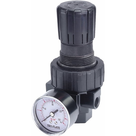 Tru-Flate 13538 0.25 in. NPT 160 PSI Plastic Compact Regulator with Gauge