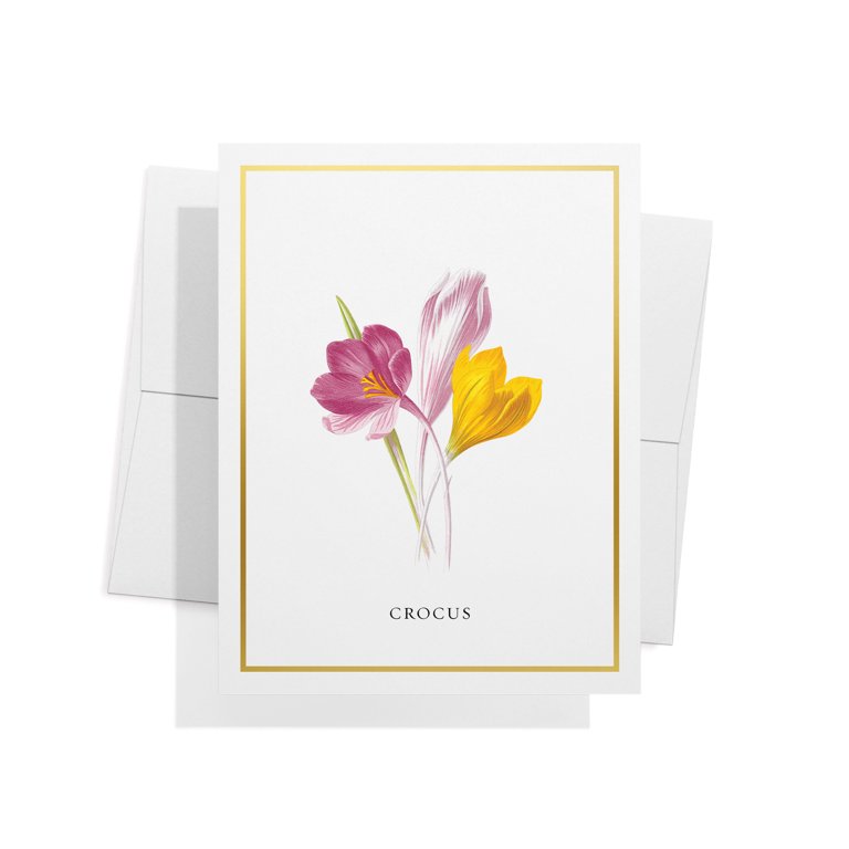 Twigs Paper - Watercolor Flower Greeting Card Set - 12 Blank Thank You Cards  With Envelopes - 4 Floral Card Designs - Eco Friendly - Made in USA 