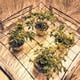 thumbnail image 4 of Red De Cultivo Elástica De 3X3 Pies, Red De Cultivo Flexible, Red De Enrejado, Tienda De Cultivo, Espacios De Cultivo De Plantas, Herramientas De Jardín sonducket HA035087-00, 4 of 6