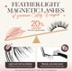 thumbnail image 3 of Pestañas magnéticas LASHVIEW Upgrade, aspecto suave y natural, 3 of 8