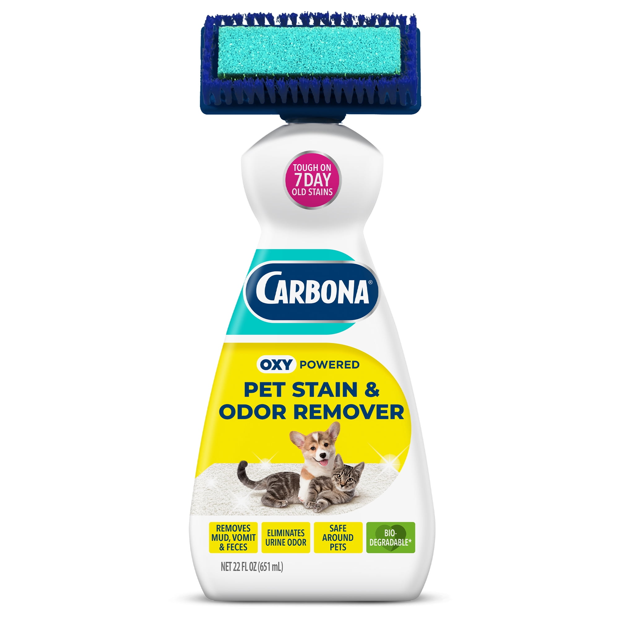 Carbona 2-in-1 Oxy-Powered Pet Carpet Cleaner & Odor Remover, Dual Brush Sponge, 22 Fl Oz