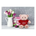 thumbnail image 6 of DolliBu I LOVE YOU Super Soft Baby Pink Bear Plush- Cute Stuffed Pink Bear Animal with Red Shirt For Valentine, Anniversary, Romantic Date, Boyfriend, or Girlfriend Gift - 8 inches, 6 of 7