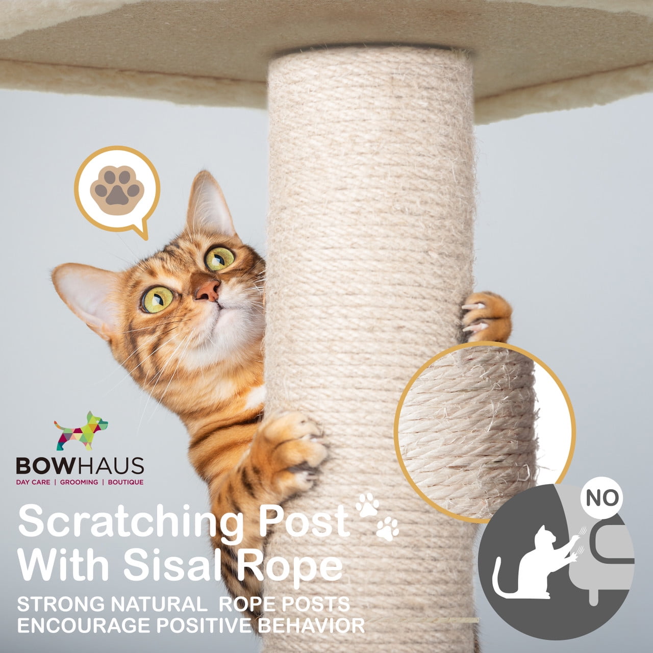 CAPHAUS 65-inch Multi-level Cat Tree with Cat Cave Condo & Top Perch, Tall Wooden Cat Tower for Indoor Cats with Scratching Posts, Detachable Cushion, Interactive Balls, Top Perch