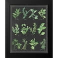 thumbnail image 2 of Paschke, Chris 15x18 Black Modern Framed Museum Art Print Titled - Herb Chart on Black White Border, 2 of 5