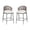 Matte Gray | 26" Seat Height, variant on GZXS Set of 2 Outdoor Wicker Bar Stools with Seat Cushions, PE Rattan Patio Counter Chairs with Curved Back and Matte Gray Iron Frame, 26" Seat Height