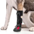 thumbnail image 4 of Drops Foot Brace No Knuckling Boot Brace for Dog All-Weather Paw Protection for All Season Use, 4 of 5