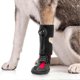 thumbnail image 3 of Drops Foot Brace No Knuckling Boot Brace for Dog All-Weather Paw Protection for All Season Use, 3 of 5