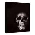 thumbnail image 2 of Creative Products Black and White Skull 16x20 Canvas Wall Art, 2 of 5