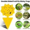 thumbnail image 3 of Minzimin 50 Sheets Fruit Fly Sticky Traps for Fruit Fly Gnat Trap for House Indoors Sticky Traps Catcher for Gnats Fungus Gnats Mosquito Catcher Kitchen Outdoor Plants Classic Style, 3 of 7