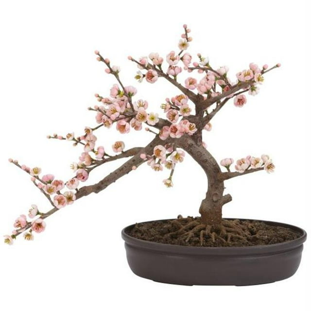 Bonsaï en Soie Fleur de Cerisier Arbre en Soie