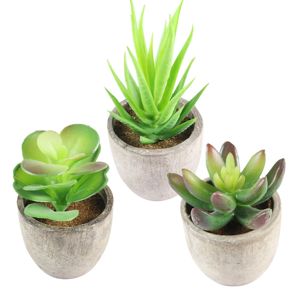 Set of 19 Mini Plants Artificial Succulents Stone Lotus And Grass 