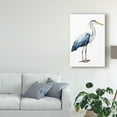 thumbnail image 3 of Trademark Fine Art 'Seabird Heron II' Canvas Art by Grace Popp, 3 of 4