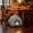 Gray, variant on Halloween Pumpkin Pet Bed - Warm Cozy Sleeping Hut for Small Medium Cats Dogs, Thanksgiving Themed Enclosed Cave with Soft Cushion for Indoor Outdoor