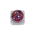 thumbnail image 2 of Bâton Pailleté du 4 Juillet, Paillettes Rouges Blanches et Bleues pour le Visage, Bâtons Pailletés pour les Cheveux, Paillettes Étoile de la Fête de l'Indépendance, Décalcomanies d'Ongles à Sequins du 4 Juillet Confettis Mixtes pour Femmes Filles Décoration d'Ongles pour le Corps(E), 2 of 8