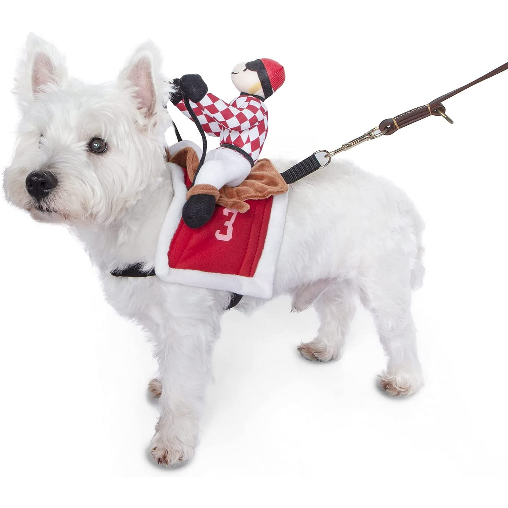 Arriba 80+ imagen jockey outfit for dogs Abzlocal.mx