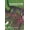 Russian CP pants, variant on Pre-Owned Common Fields, 1: An Environmental History of St. Louis (Paperback) 1883982162 9781883982164