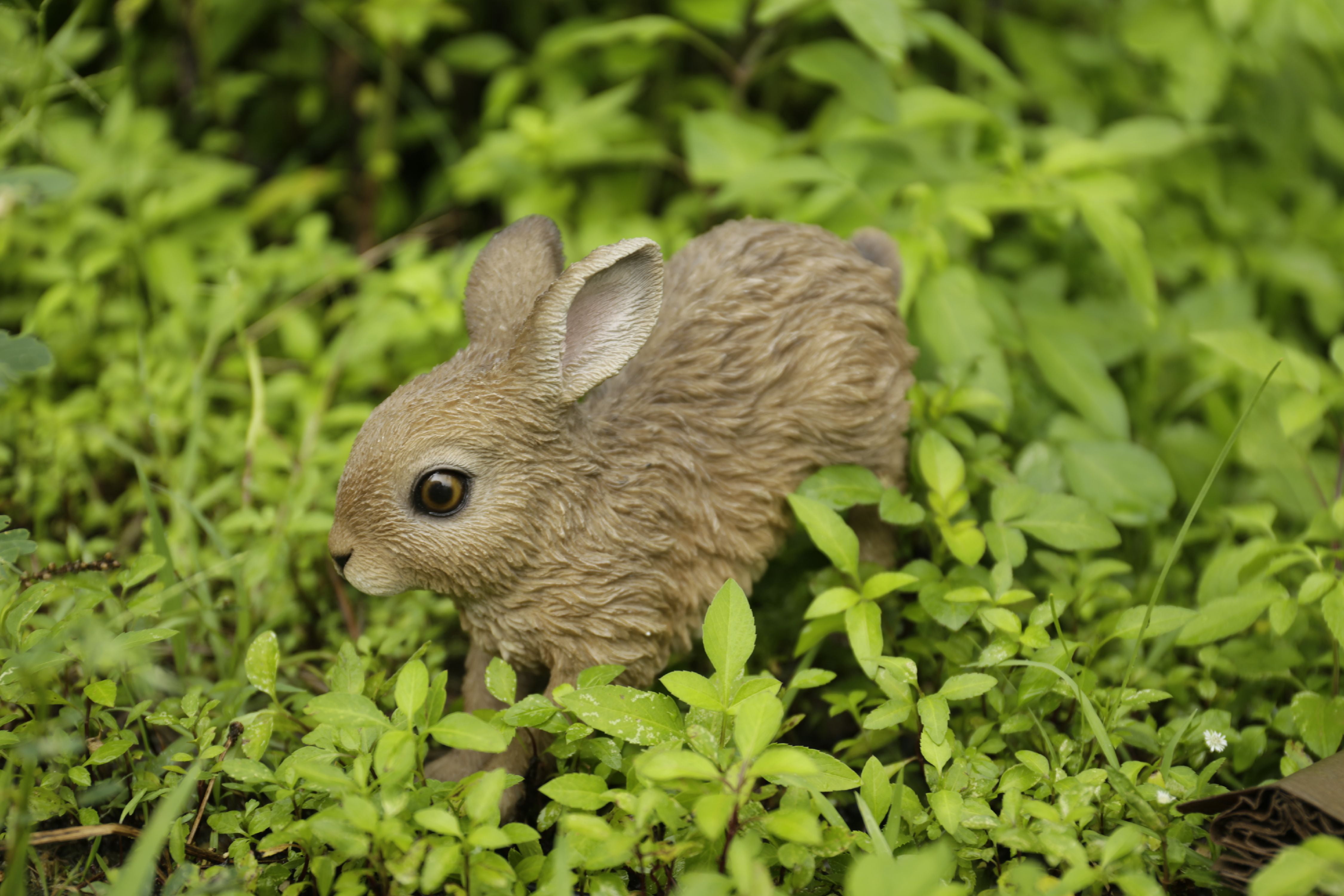 Hi-Line Gift Ltd. Hare Cub Running Statue