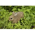 thumbnail image 3 of HARE CUB RUNNING STATUE, 3 of 8