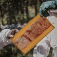 thumbnail image 4 of Marco Nido Abeja Colmena de Plástico Placa de Fundación Apicultura Cera de Abeja Marcos Sin Montar Casa Base, 4 of 6