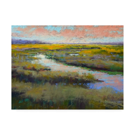 Trademark Fine Art 'A Glimmer on the Marsh' Canvas Art by Alejandra Go