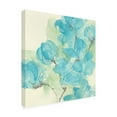 thumbnail image 2 of Chris Paschke 'Arabian Jasmine I' Canvas Art, 2 of 3