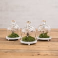 thumbnail image 2 of Weddingstar 9237 Miniature Glass Bell Jar with White Fluted Base, 2 of 6