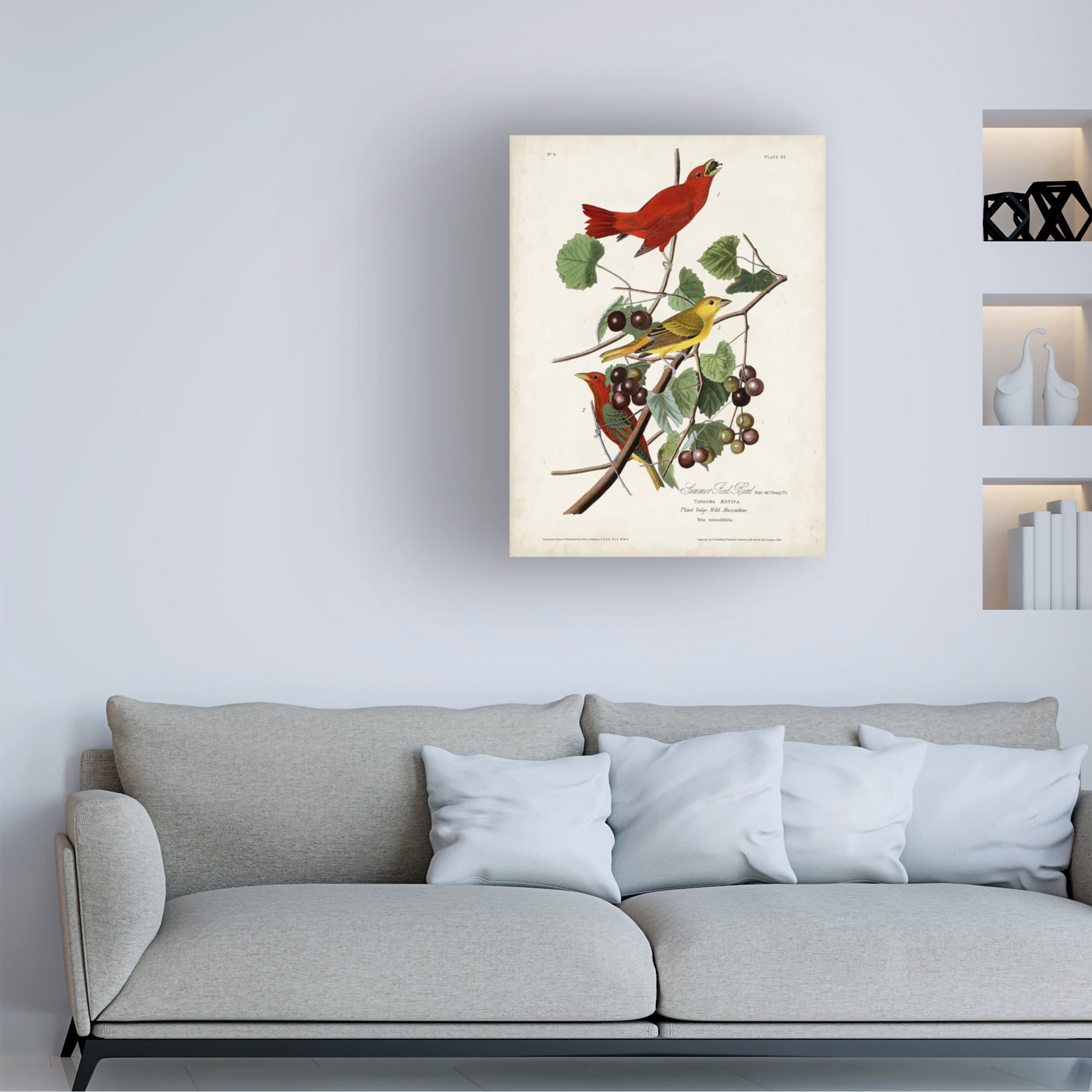 John James Audubon 'Summer Red Bird' Canvas Art