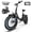 Black, variant on Efunkeep 16" Fat Tire Folding Electric Bike for Adults, 1200W Peak, 48V 13Ah Battery, UL2849 Certified,White