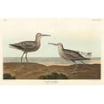 thumbnail image 2 of Audubon, John James 32x22 Gold Ornate Wood Framed with Double Matting Museum Art Print Titled - Long-legged Sandpiper, 2 of 4