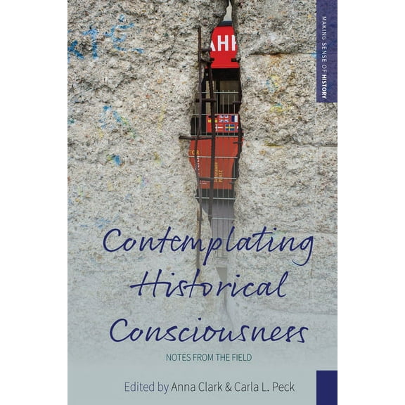 Making Sense of History Contemplating Historical Consciousness: Notes from the Field, Book 36, (Hardcover)
