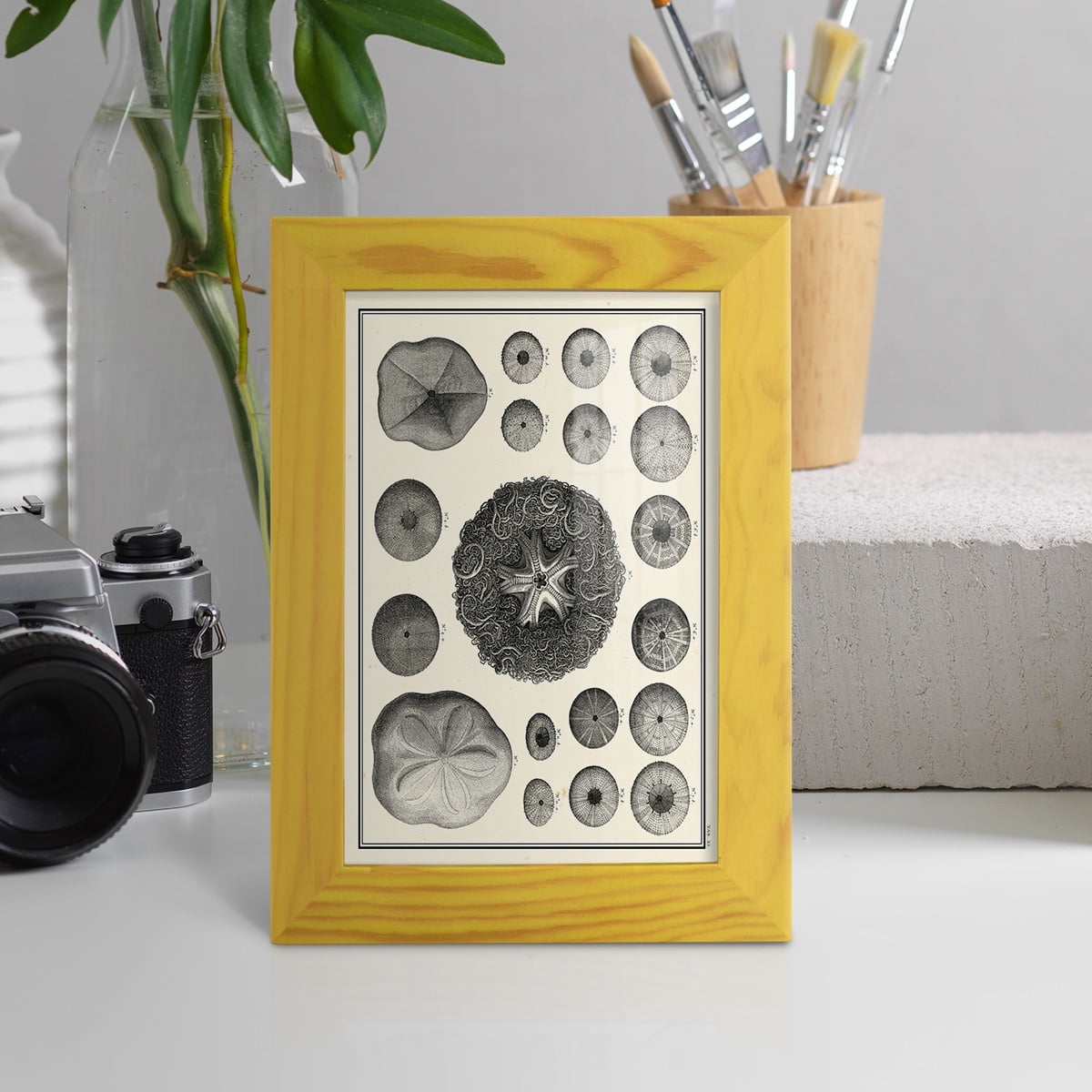 Aegean Collection I -Framed Print w/glass-Sunflower Yellow