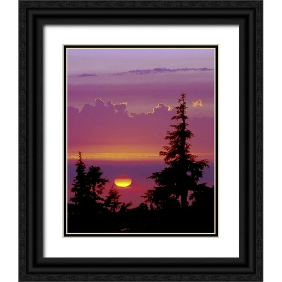 Kelley, David 26x32 Black Ornate Wood Framed with Double Matting Museum Art Print Titled - Oregon, Mt Hood Pine trees silhouetted by sunset