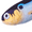 Heddon Threadfin Shad, variant on Rebel Super Pop'R Pillow Baby Bass