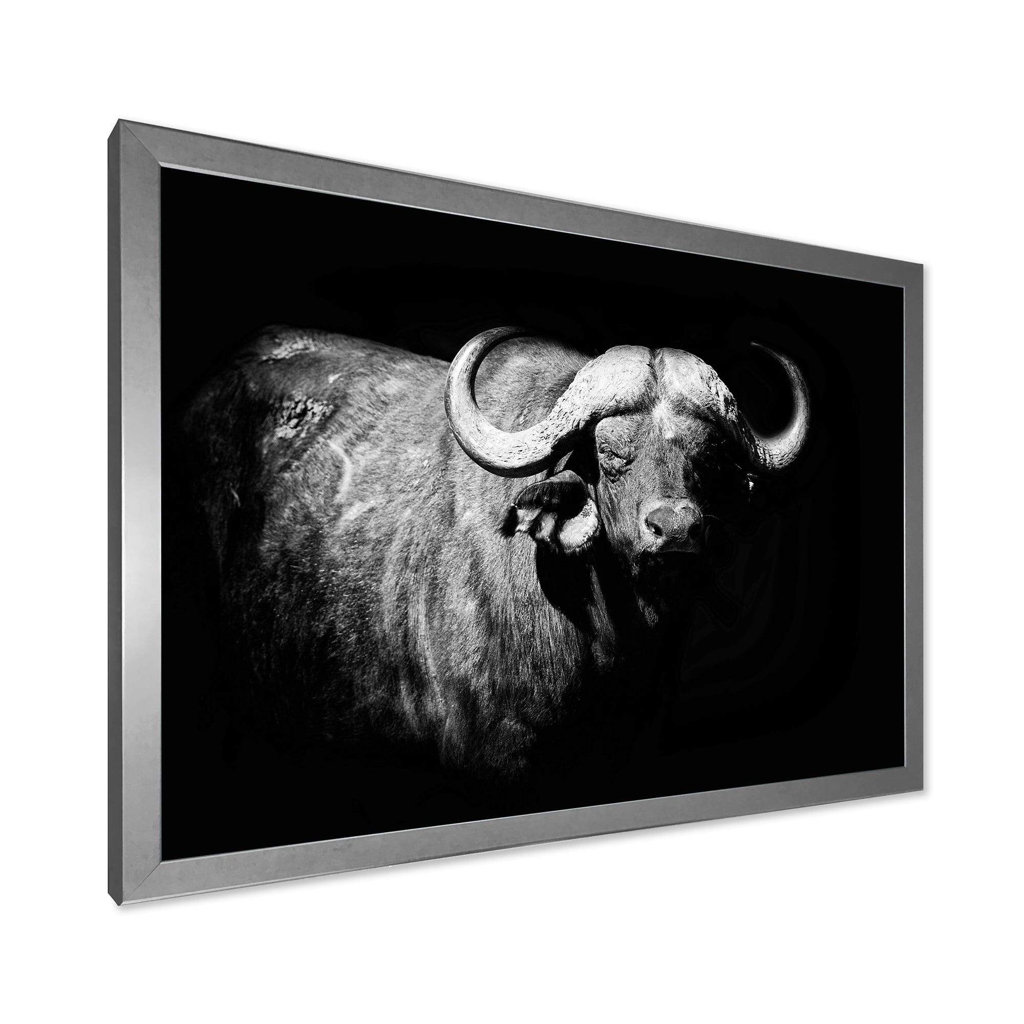 Designart 'Black and White Portrait Of Buffalo I' Farmhouse Framed Art Print