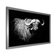 thumbnail image 2 of Designart 'Black and White Portrait Of Buffalo I' Farmhouse Framed Art Print, 2 of 4