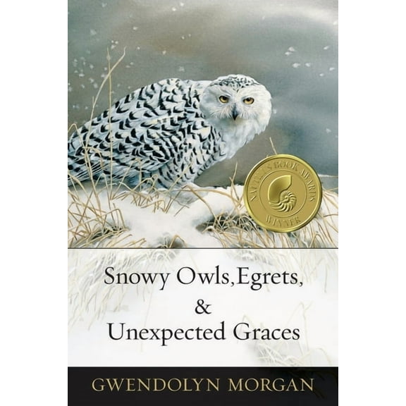 Snowy Owls, Egrets & Unexpected Graces, (Paperback)