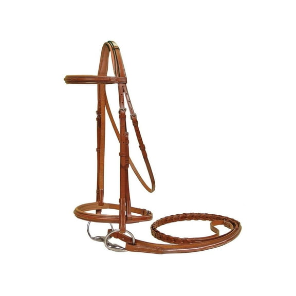 Paris Tack Padded Raised Fancy Stitched Leather English Schooling Bridle with Laced Reins