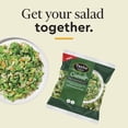 thumbnail image 3 of Taylor Farms Caesar Mini Salad Kit, 4.42 oz Bag, Fresh, 3 of 7