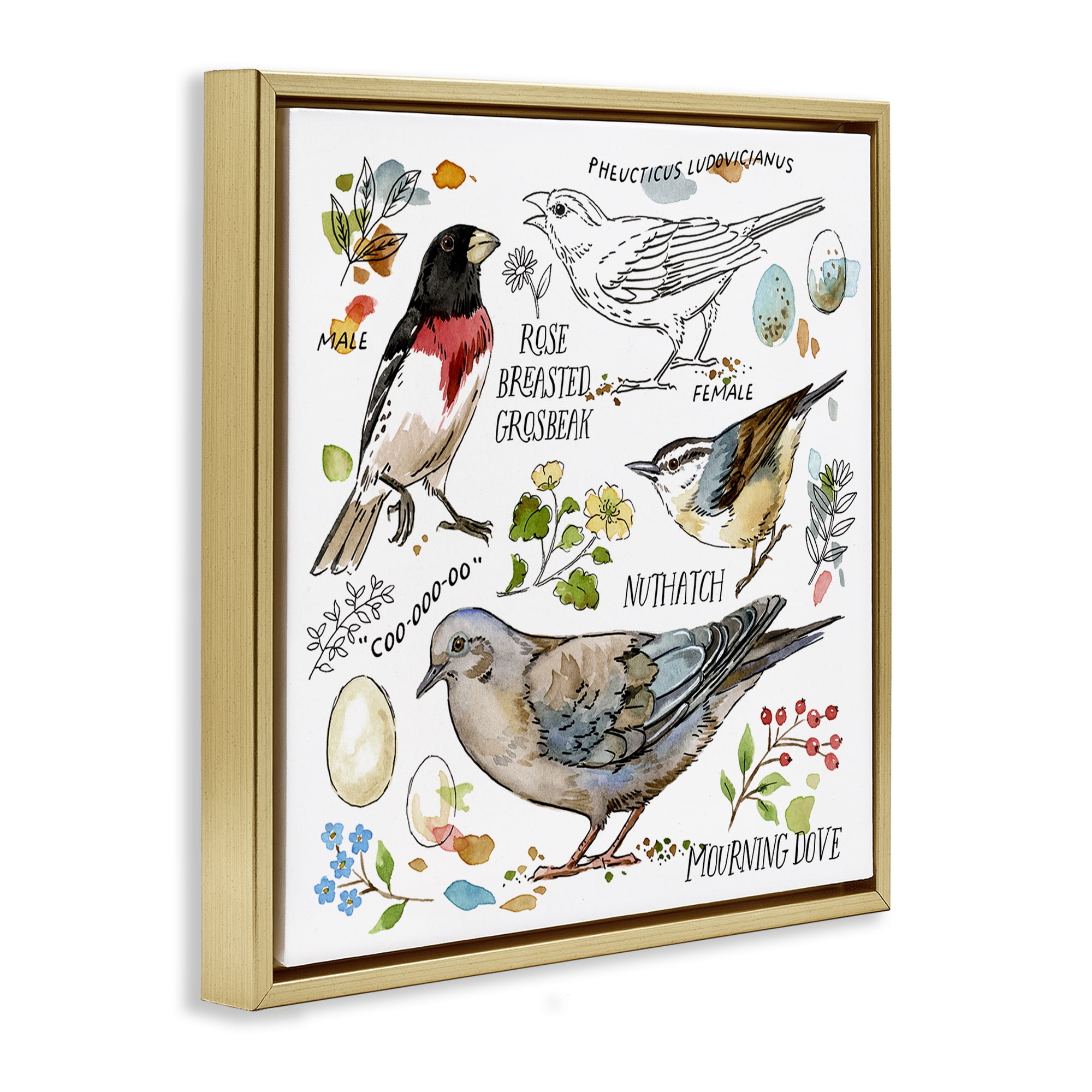 Stupell Industries Bird Watching Diagram Animals Painting Gold Floater Framed Canvas Art Print Wall Art, 25 x 25