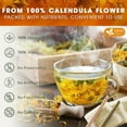 thumbnail image 3 of FreshDrinkUS, Premium 135 Calendula Flower Tea Bags, 100% Natural and Pure Calendula Flowers, Eco-conscious Tea Bags. Calendula Flower Herbal Tea. No Sugar, No Caffeine, No Gluten, Vegan., 3 of 9