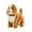 H, variant on Cute Simulation Dog Can Walk , Wag Tail And Bark With Music, Electric Dog Decor ​​Plush Electric Pet Dog Induction Toy
