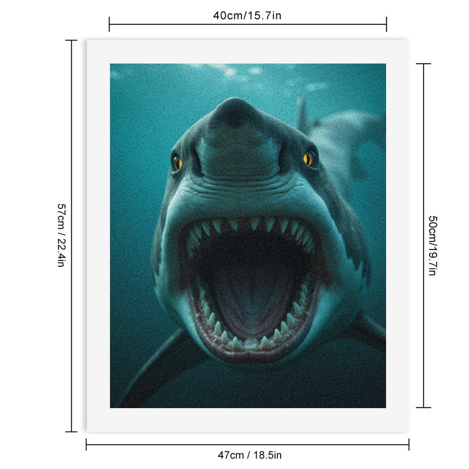 Paint by Numbers Kit for Adults, Shark Close Up Underwater Perspective Paint by Numbers, Easy Paint by Numbers Kit for Adults Beginner, DIY Adult Paint by Number Kits on Canvas, 12x16in Home Decor