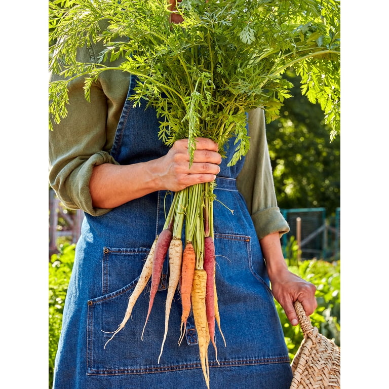 Burpee Kaleidoscope Blend Carrot Seed Tape, Annual Vegetable