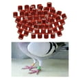 thumbnail image 2 of Qualitchoice 100Pcs 2022 Aluminium Dove Racing Pigeon Foot Rings Bands Aluminum Foot 8mm Red, 2 of 8