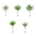 thumbnail image 4 of Cateissary Decoración verde elegante para el hogar: interior o exterior, fácil de limpiar, plantas duraderas y duraderas, 7 hierbas Lysimachia Type1 NO1, 4 of 6