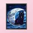 thumbnail image 3 of Cuadros Decorativos 11CT punto de cruz completo Luna gato negro estampado DIY Kits de bordado hilo de algodón DQrwqpou Nuevos Originales, 3 of 9