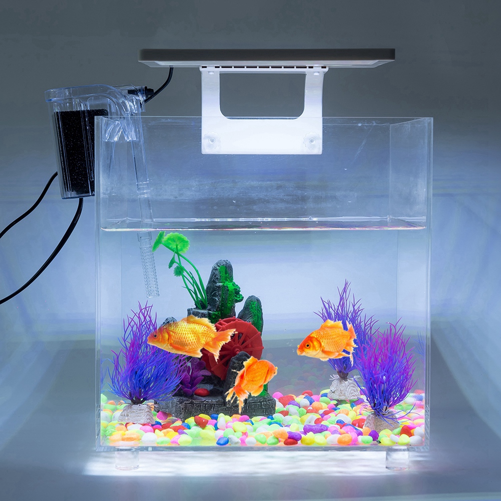 OTVIAP Acrylic Fish Tank,1Pc Acrylic Fish Tank with LED Lighting and